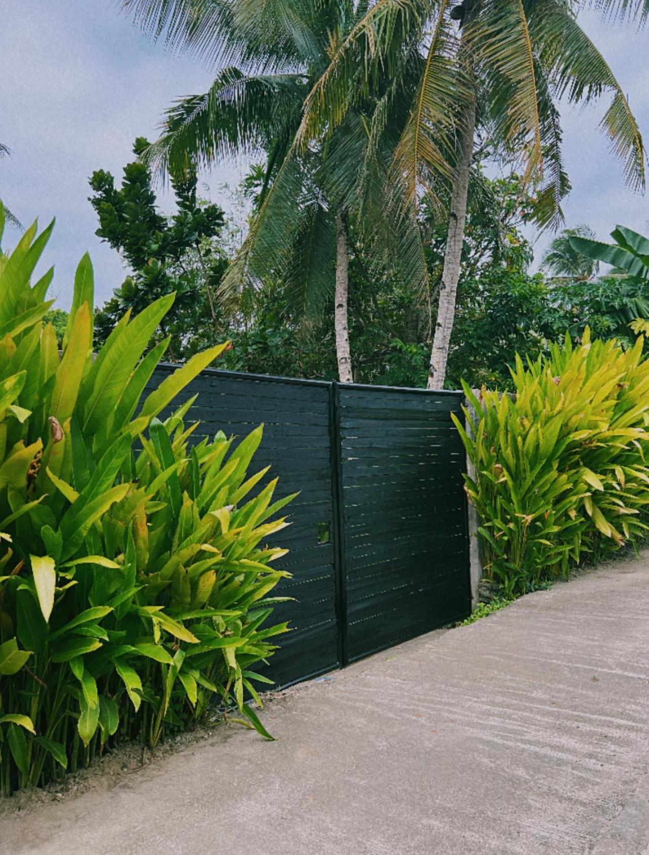 Secret Pool Villa Tuason Beach 卢纳将军城 外观 照片